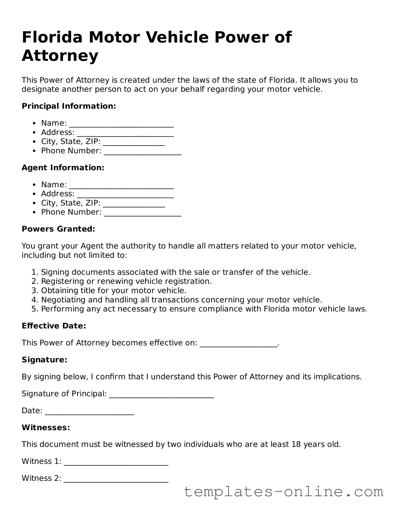 Valid  Motor Vehicle Power of Attorney Template for Florida