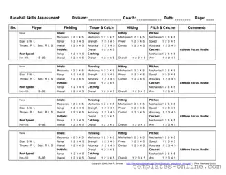Baseball Assessment Template