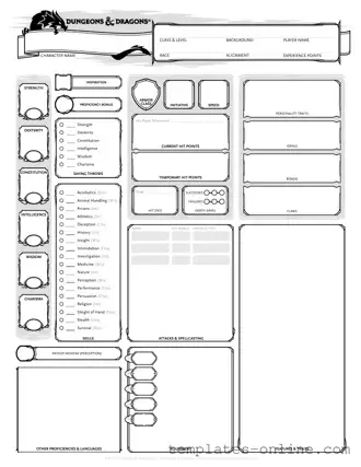 Dnd Character Sheet Template