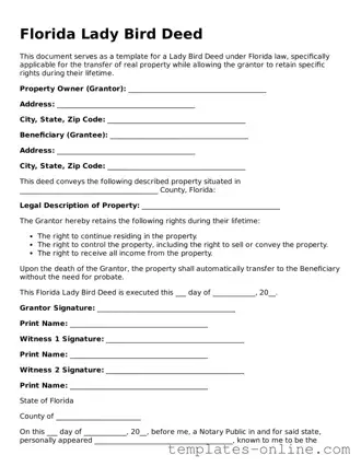 Valid  Lady Bird Deed Template for Florida